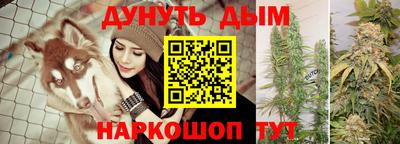 крисы Балаково
